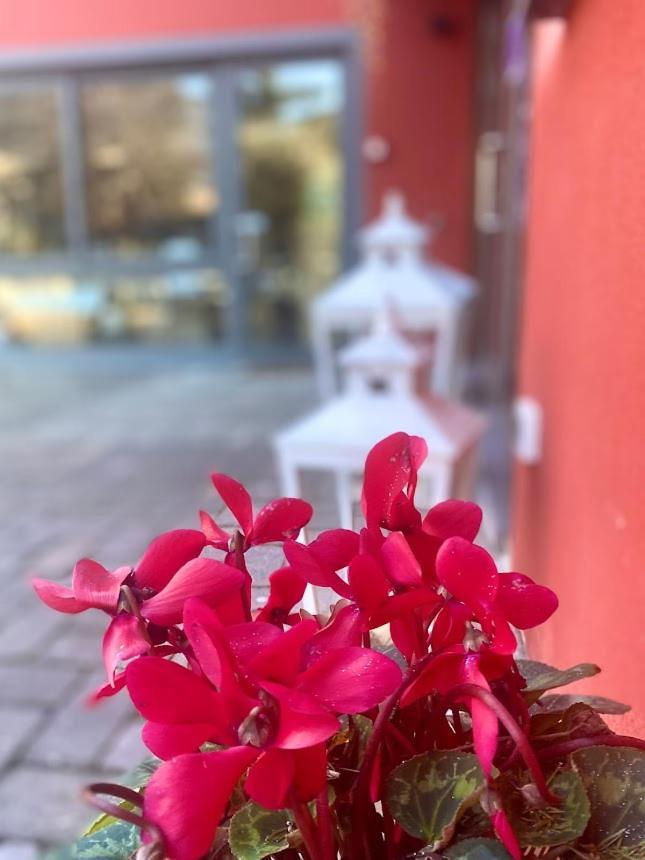Gasthof La Casina Rossa