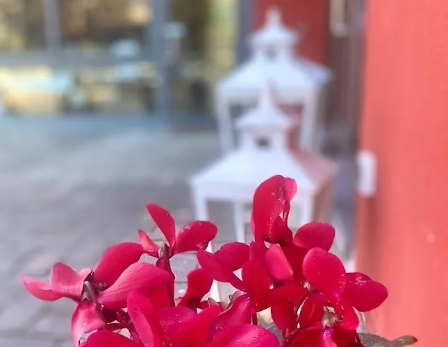 La Casina Rossa Affittacamere